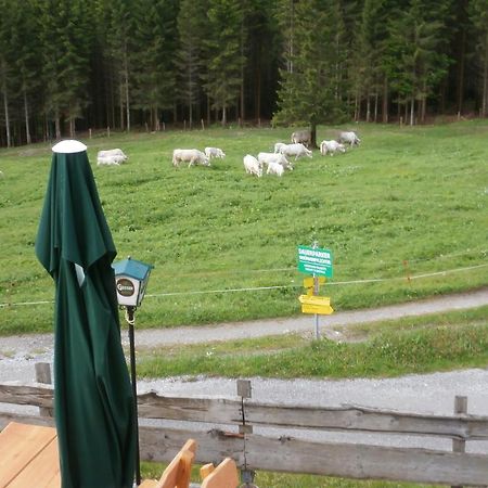 Gasthof Untere Valentinalm Hotel Plocken Luaran gambar
