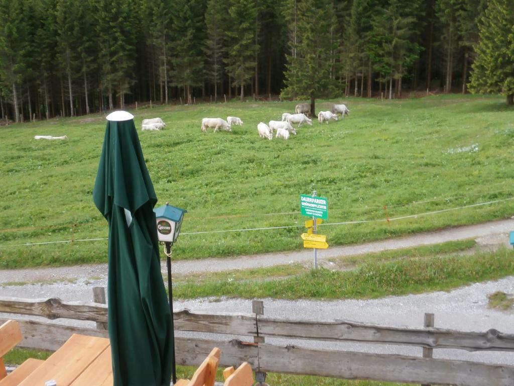 Gasthof Untere Valentinalm Hotel Plocken Luaran gambar